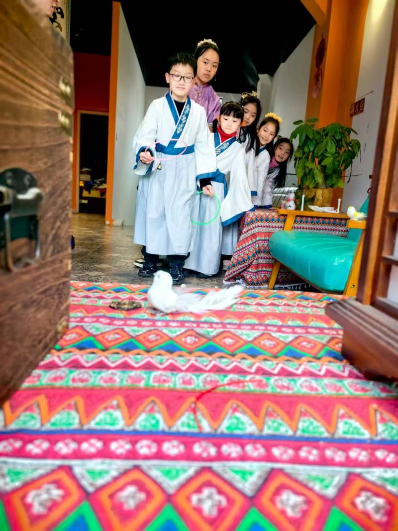 新华区文旅项目策划